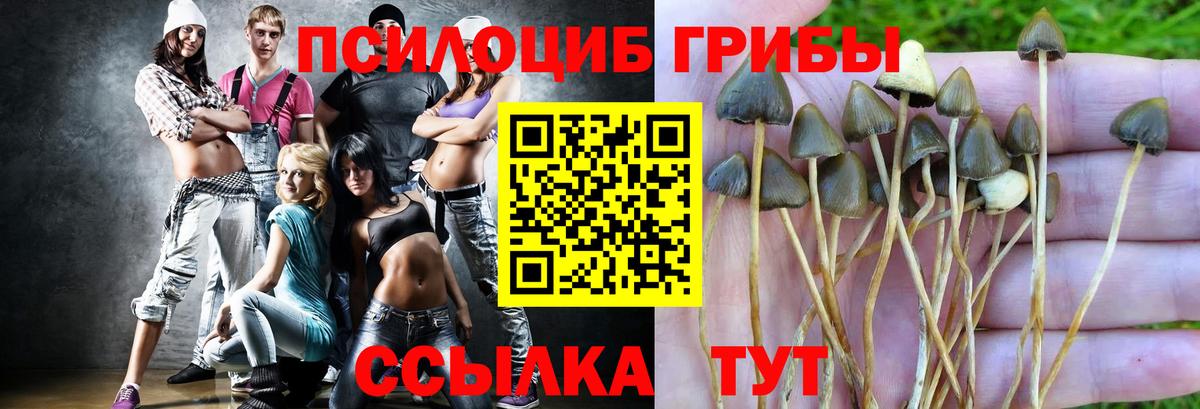 Псилоцибиновые грибы мухоморы Уварово